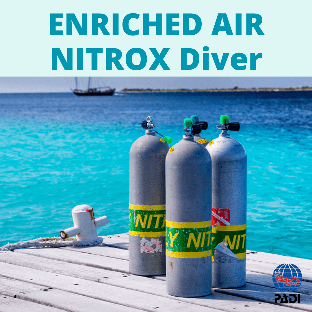 PADI Enriched Air Nitrox Diver Specialty | Scuba Training - Wed 8 April (6:00PM - 7:30PM) - 1