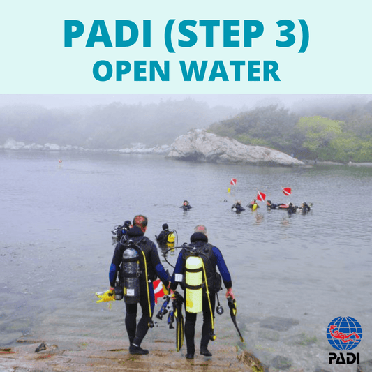 PADI OWSD (Step 3): Open Water Training | Open Water Scuba Diver Certification - 30 May - 31 May - 1