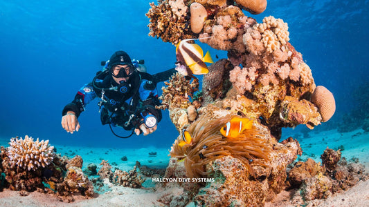 PADI Tec 40 - 1