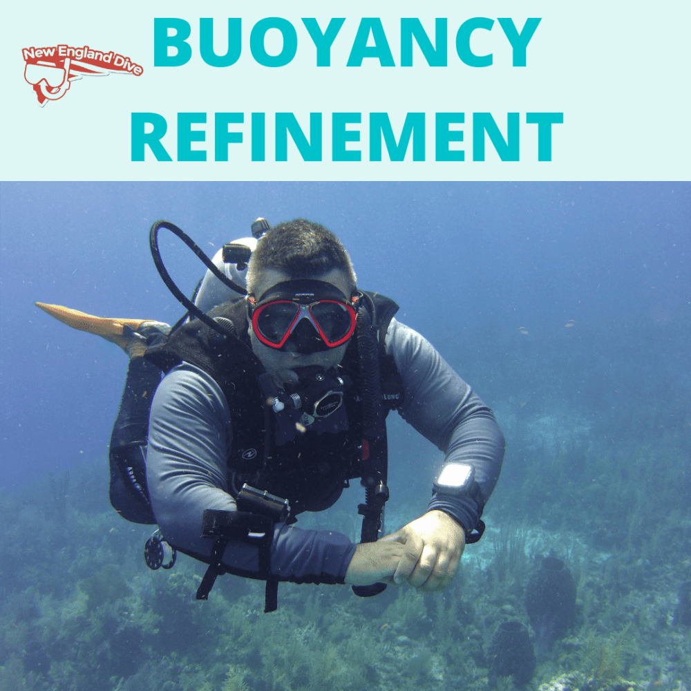 NED Buoyancy Refinement - NED Buoyancy Refinement - 1