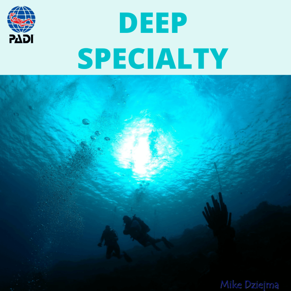 PADI Deep Specialty - PADI Deep Specialty - 1