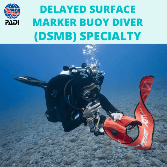 PADI Delayed Surface Marker Buoy (DSMB) Diver Specialty - PADI Delayed Surface Marker Buoy (DSMB) Diver Specialty - 1