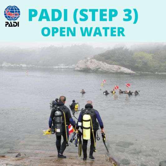 PADI OWSD (Step 3) Open Water OW - PADI OWSD (Step 3) Open Water OW - 1
