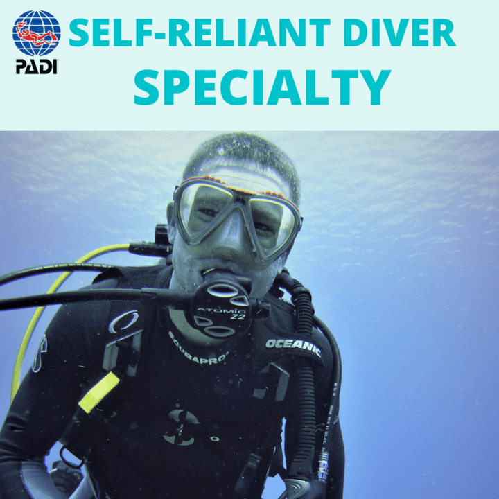 PADI Recreational Dive Courses | New England Dive